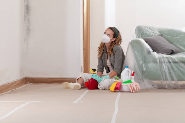 Reliable Mold Remediation contractor in Pitman, NJ by Cheap Mold Removal